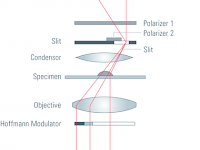 什么是顯微鏡綜合調節對比(IMC)? 什么是顯微鏡綜合調節對比(IMC)?