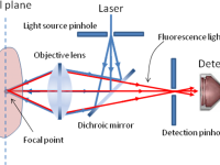 尼康顯微鏡激光共聚焦的原理 尼康顯微鏡激光共聚焦的原理