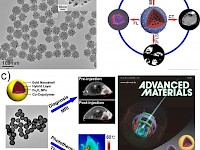 金納米粒用PEG修飾后紫外吸收波長藍移了? 金納米粒用PEG修飾后紫外吸收波長藍移了?